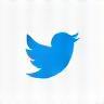 X (formerly Twitter) icon